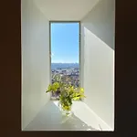 Get A Train And View