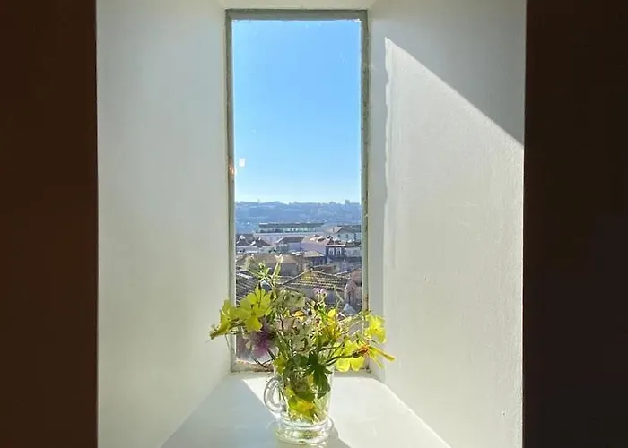 Get A Train And View